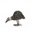 Twisted Guinea Fowl Chick