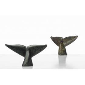 Whale Tail