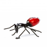 Red Ant