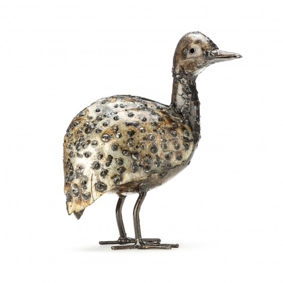 Guinea Fowl Chick 