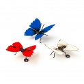 Butterflies