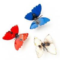 Butterflies Butterflies