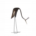 Goliath Crowned Crane
