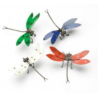 Dragonflies Dragonflies