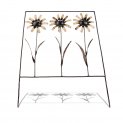 Daisies