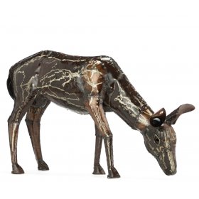 Doe