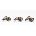 Dung Beetle