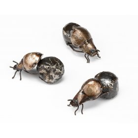 Dung Beetle Dung Beetle