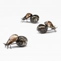 Dung Beetle