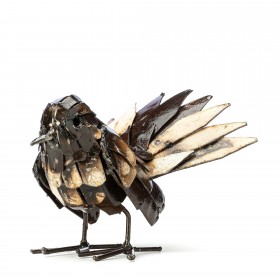 Fantail Fantail