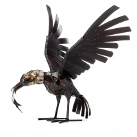 Fish Eagle