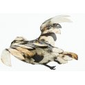 Flying Barn Owl