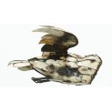 Flying Barn Owl