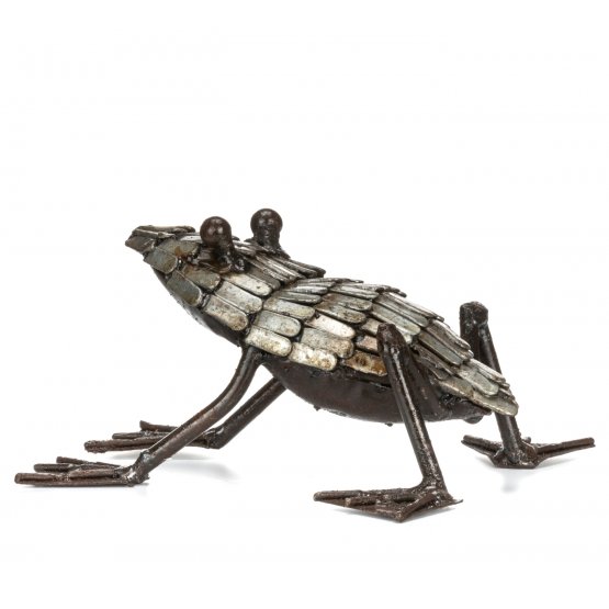 Silver Frog