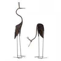 Goliath Crowned Crane Goliath Crowned Crane