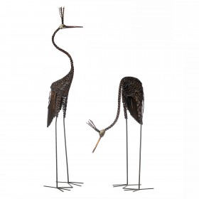 Goliath Crowned Crane