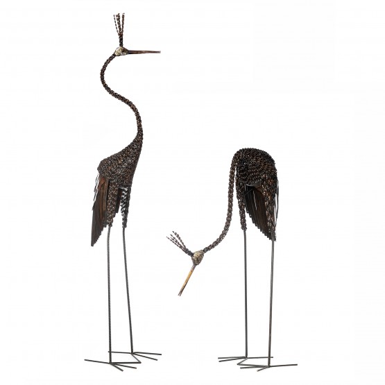 Goliath Crowned Crane