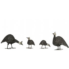 Twisted Guinea Fowl Family Twisted Guinea Fowl Family