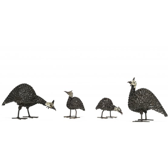 Twisted Guinea Fowl Family