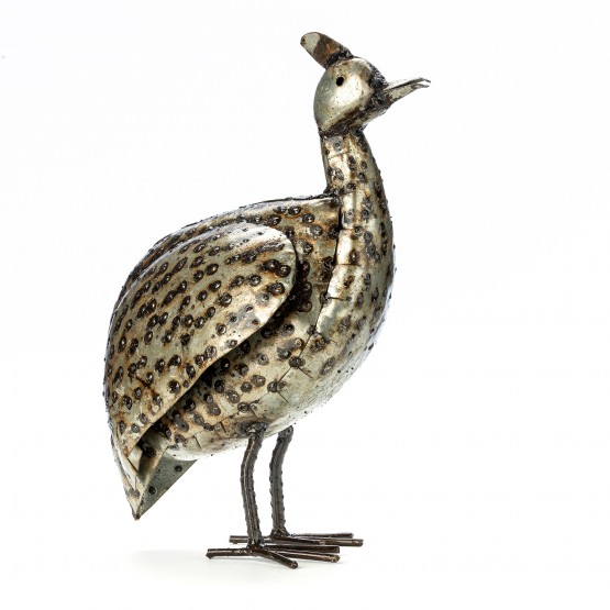 Guinea Fowl 