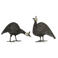 Twisted Guinea Fowl Twisted Guinea Fowl