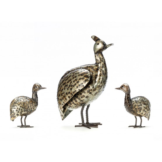 Guinea Fowl Family