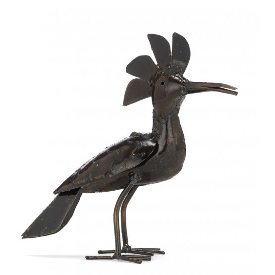 Hoopoe bird