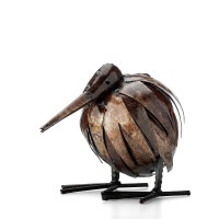 Kiwi Kiwi