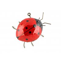 Ladybird Ladybird