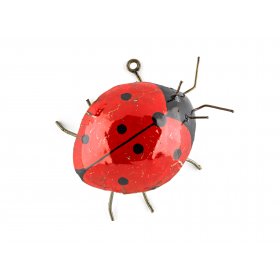 Ladybird Ladybird