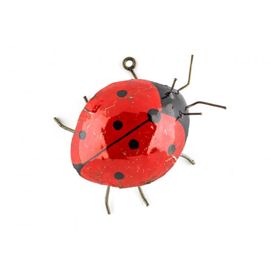 Ladybird