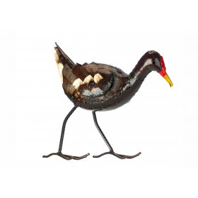 Moorhen Moorhen