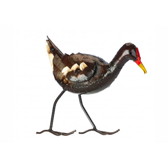 Moorhen