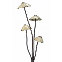 Mushrooms Mushrooms