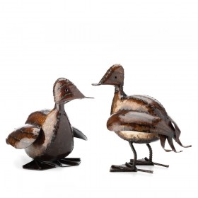 Duck Duck