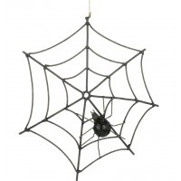 Spider web Spider web