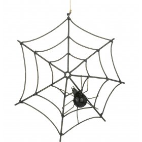 Spider web Spider web