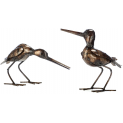 Sandpiper