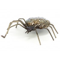 Spider Spider