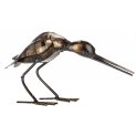 Sandpiper