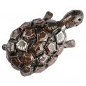 Tortoise