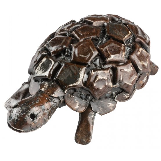 Tortoise