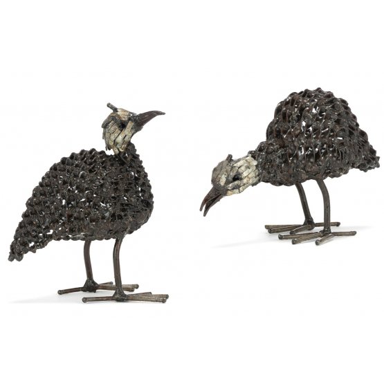 Twisted Guinea Fowl Chick