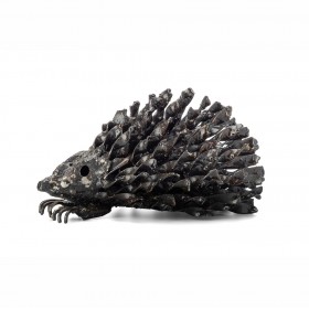 Baby Hedgehog Baby Hedgehog