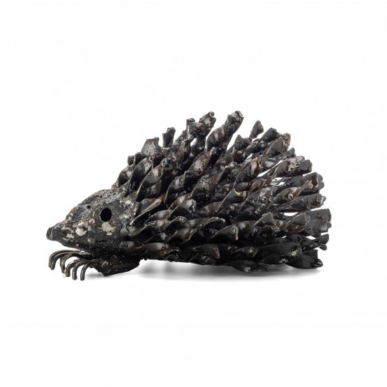 Baby Hedgehog