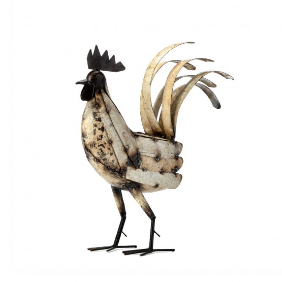 Cockerel