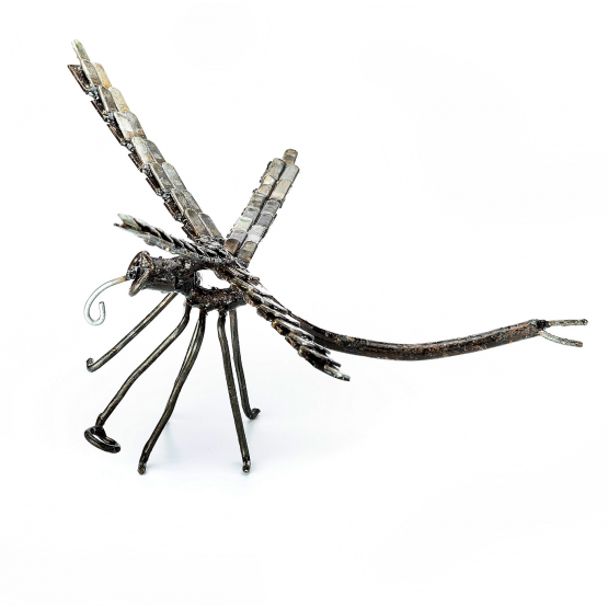 Silver dragonflies