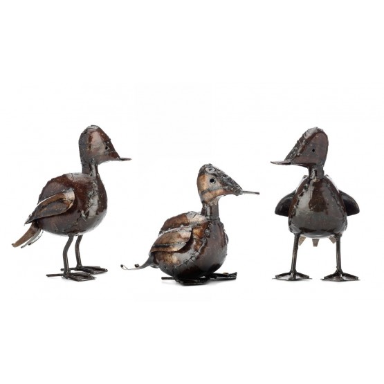 Ducklings