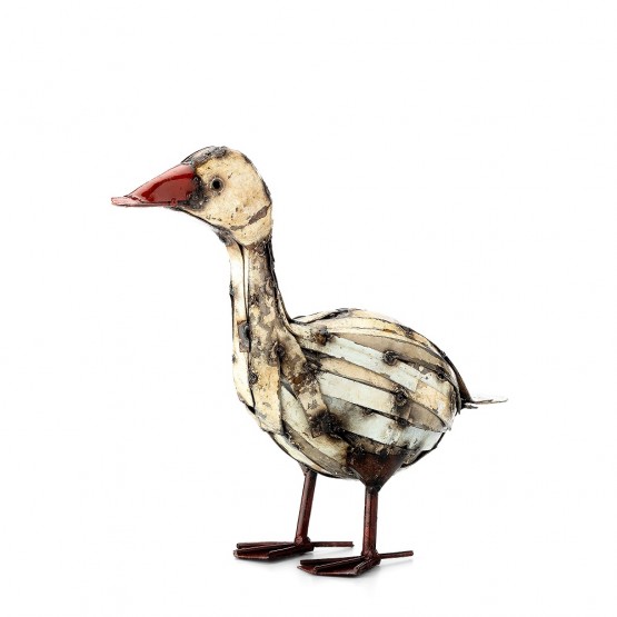 Baby Goose