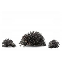 Hedgehog Family